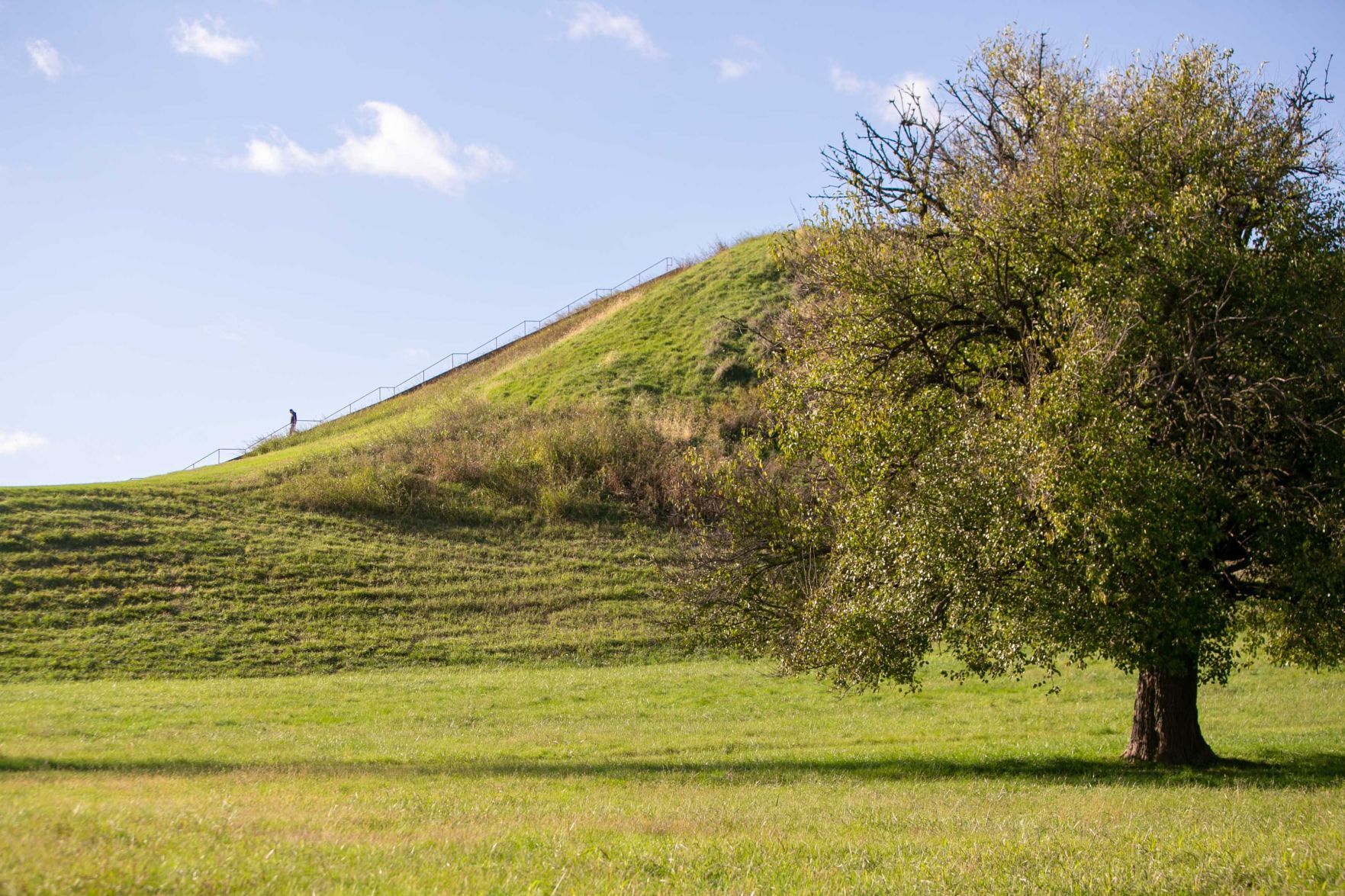 Fall colors from Cahokia Mounds